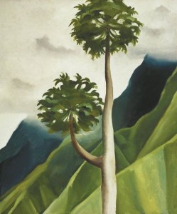 Georgia O'Keeffe and Ansel Adams: The Hawaii Pictures @ Honolulu Museum of Art | Honolulu | Hawaii | United States
